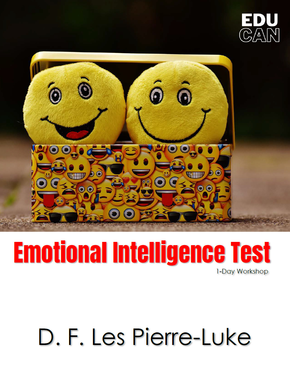Emotional Intelligence Test 1D WS.bmp